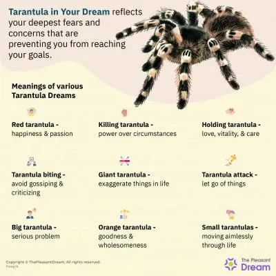18108 tarantula dream