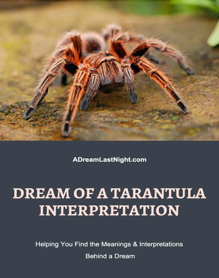 18108 tarantula in dream