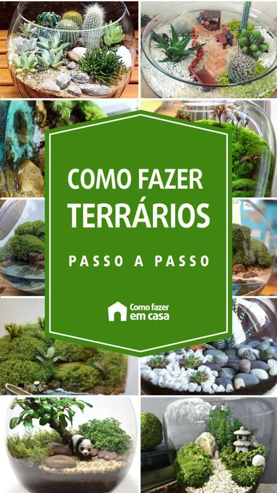 18111 equipamentos terrario 6