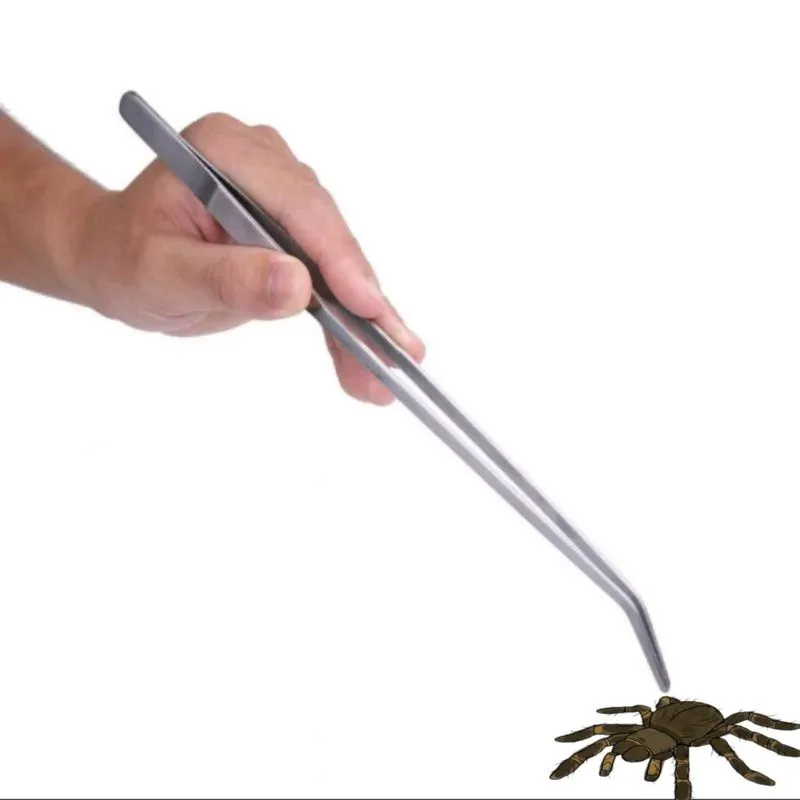 18115 tarantula handling