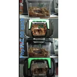 18115 tarantula petshop