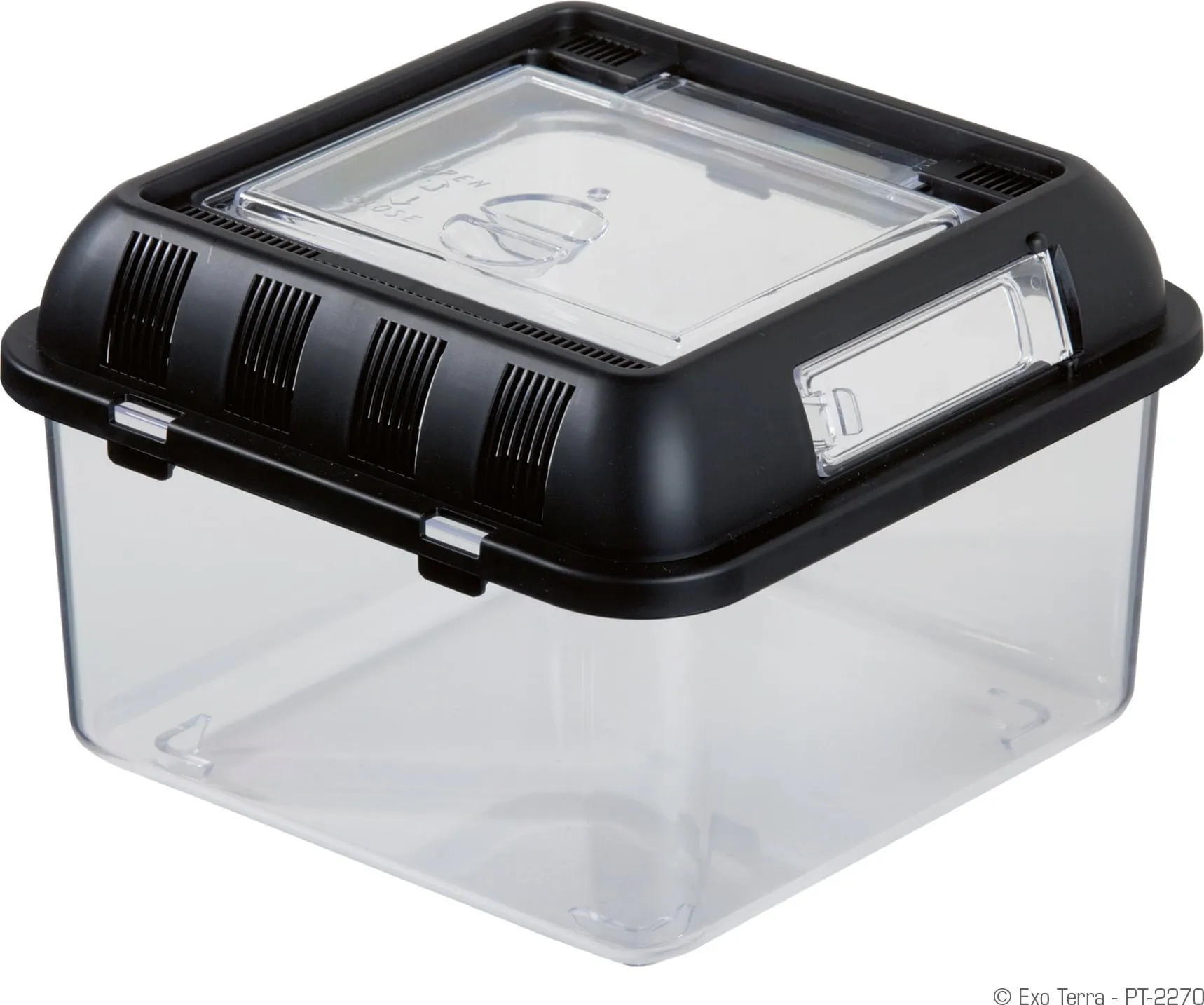 18121 tarantula breeding box size 2