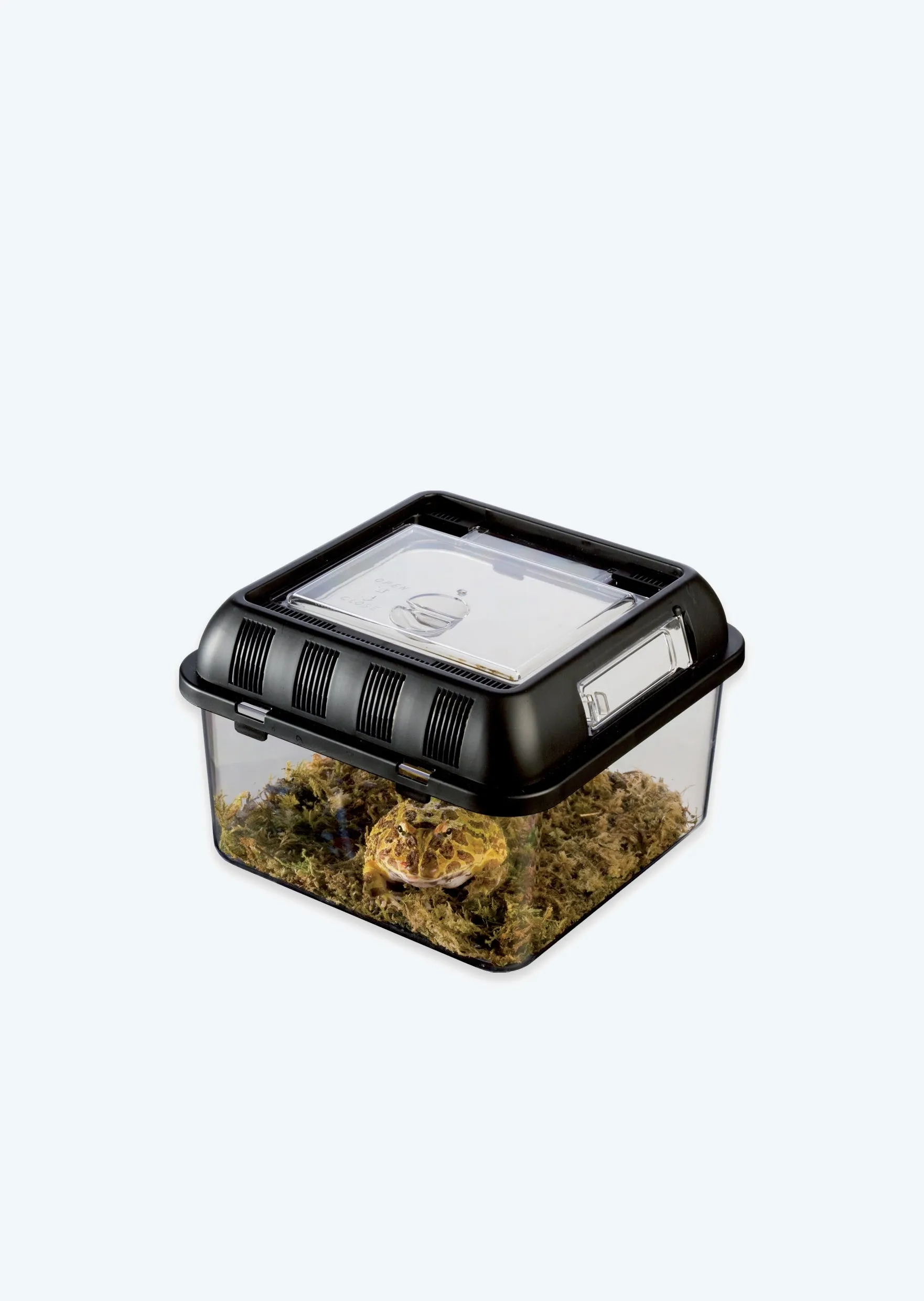 18121 tarantula breeding box substrate 4