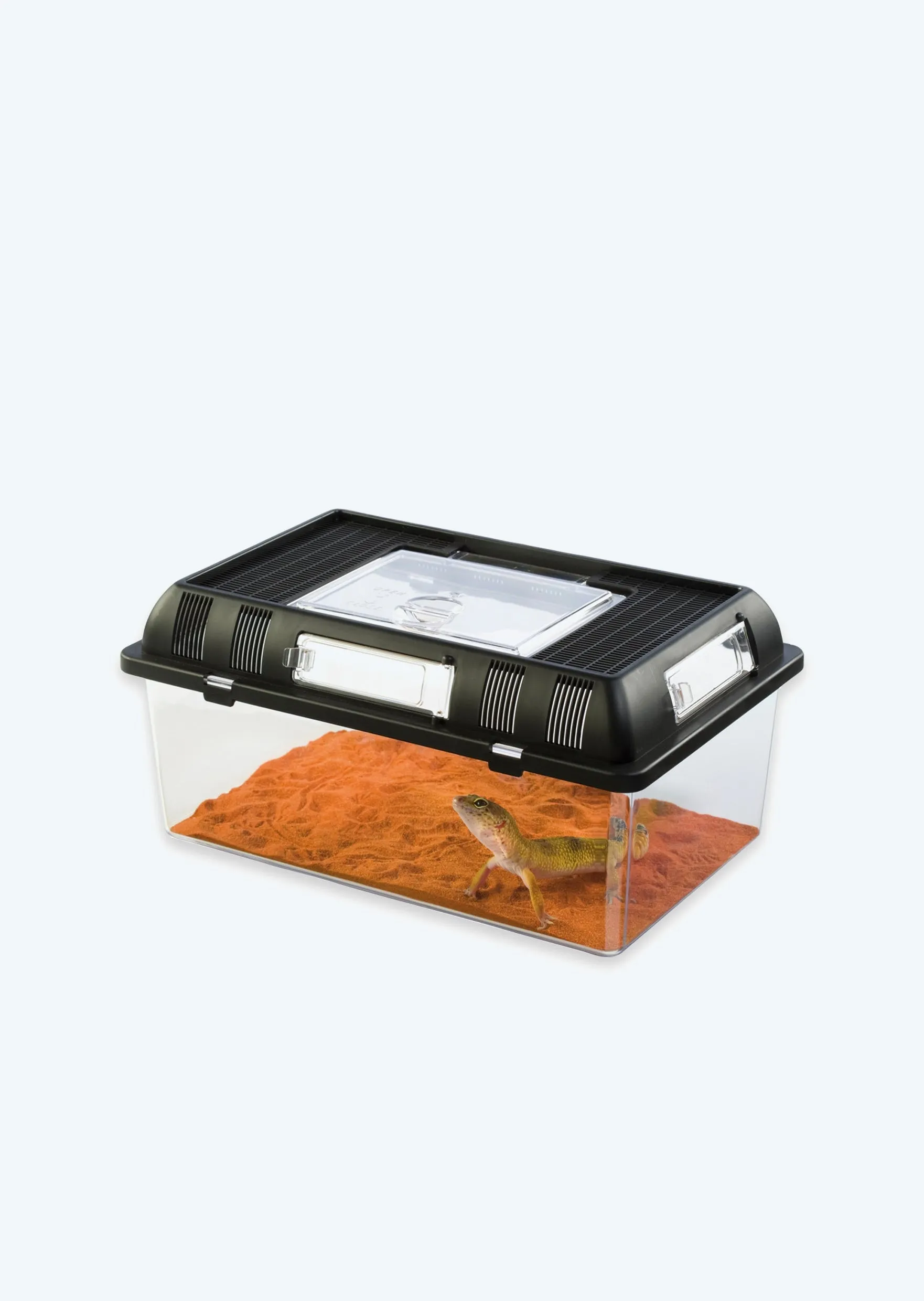 18121 tarantula breeding box ventilation 3