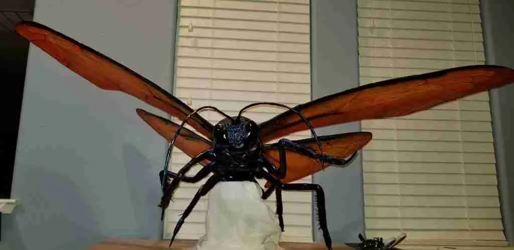 18125 paper mache tarantula legs