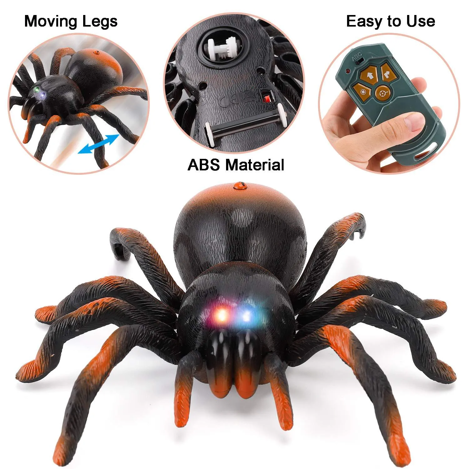 18126 child playing with spider