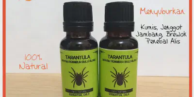 /img/18141-minyak-tarantula-kualitas.webp