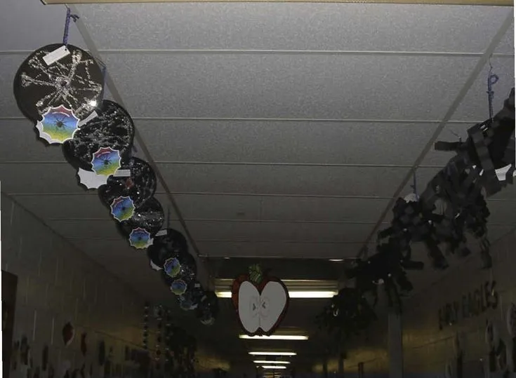 18143 tarantula mating