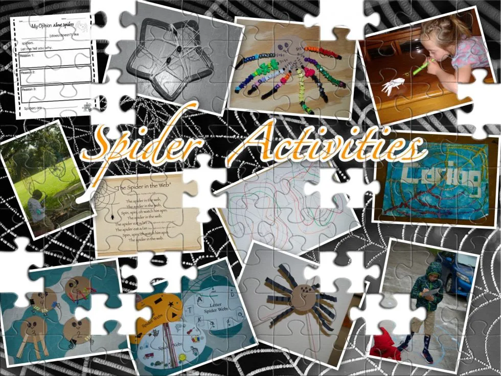 18143 tarantula molting