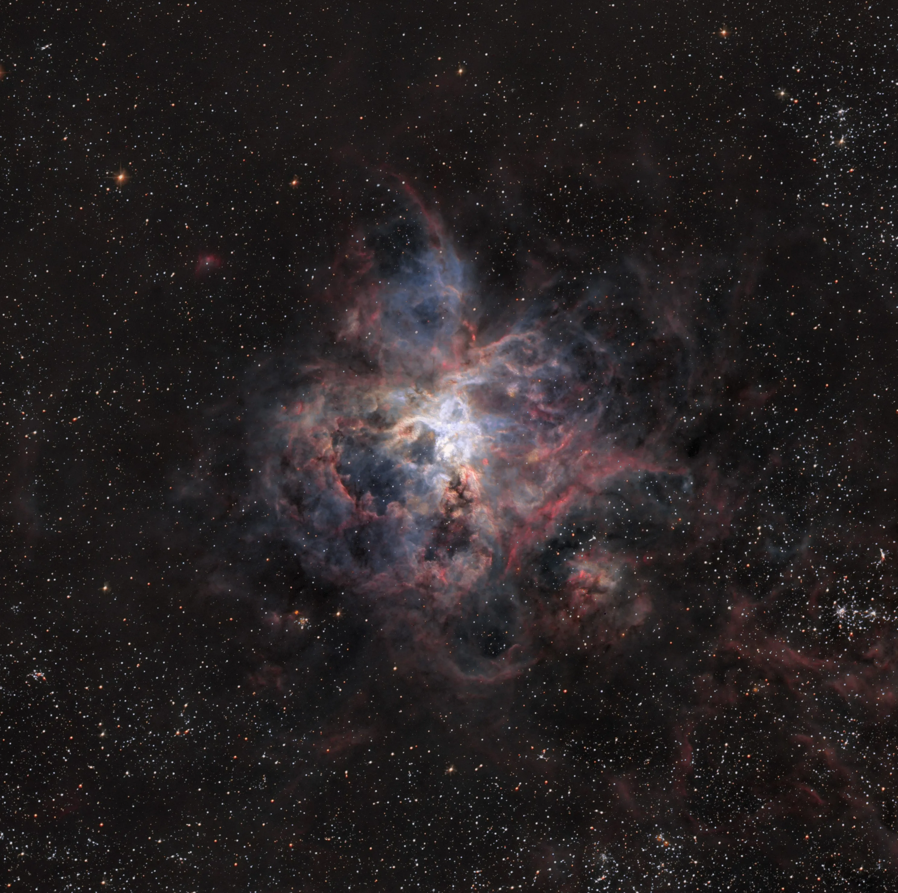 /img/18144-nebula-tarantula-observation.webp
