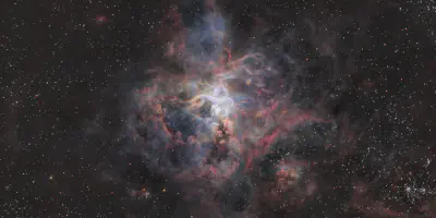 /img/18144-nebula-tarantula-observation.webp
