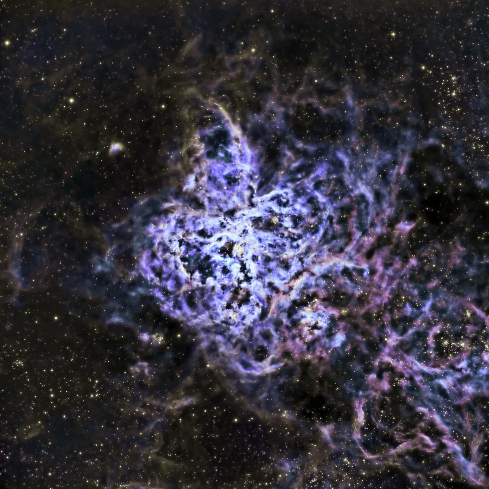 18144 nebula tarantula supernova