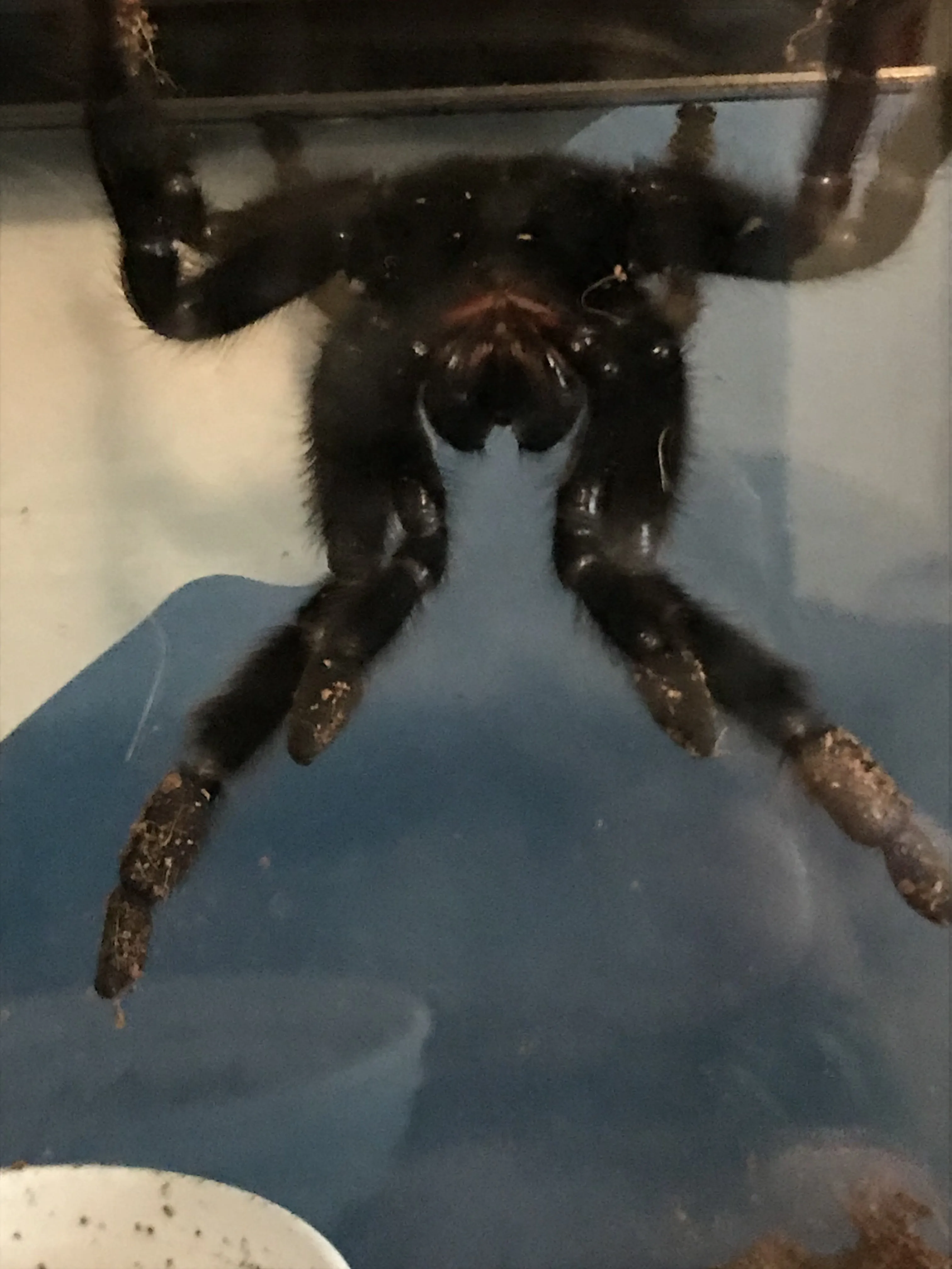 18151 safe environment