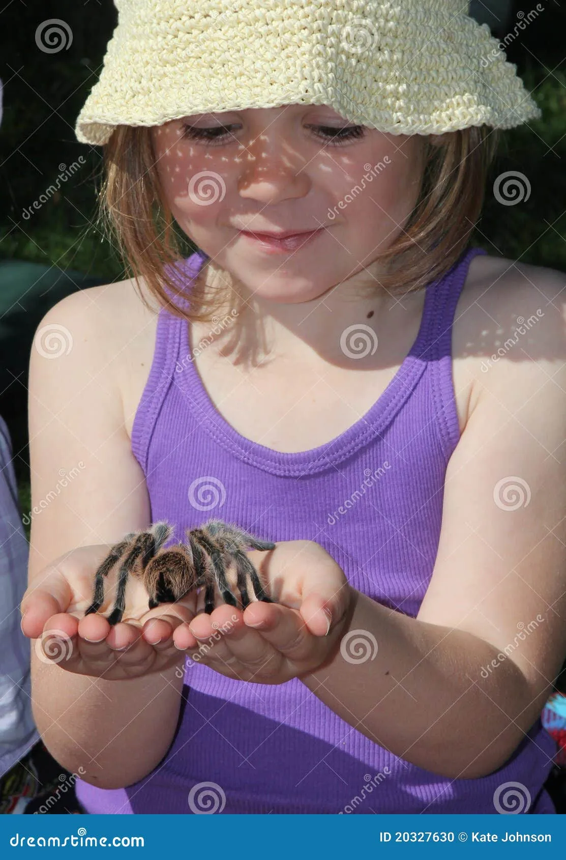 18161 child handling tarantula safely