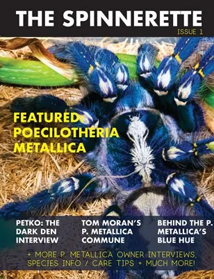 18202 tarantula shop 5