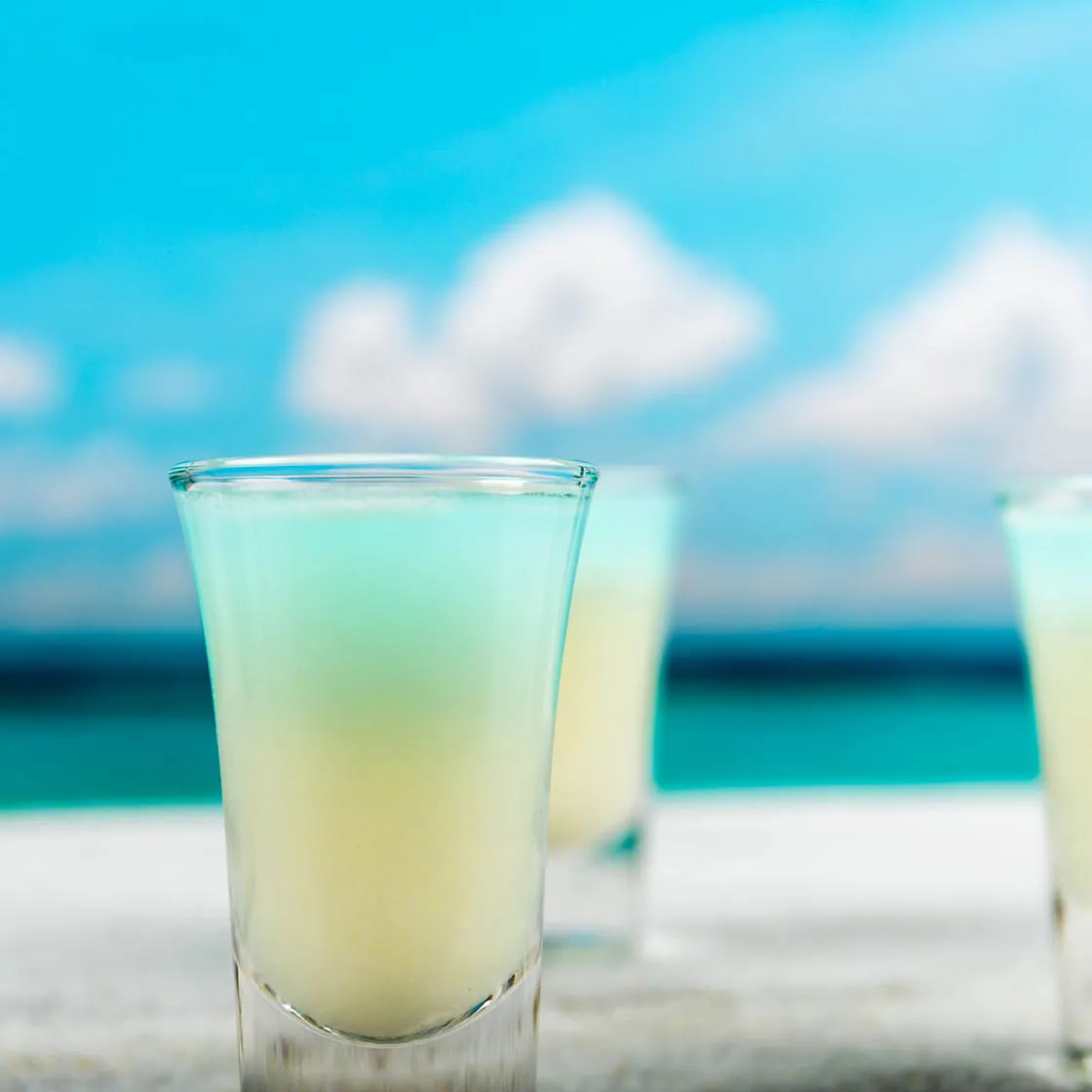 18203 tarantula black magic