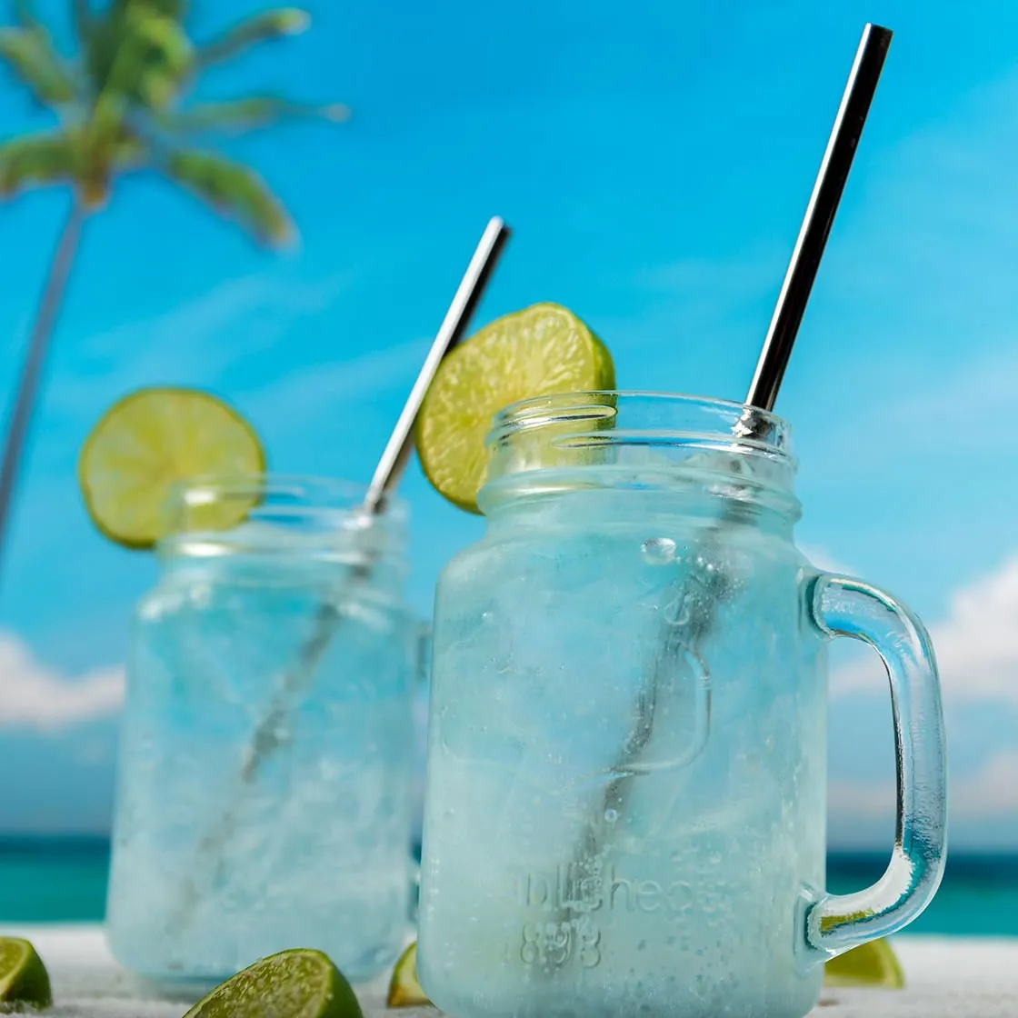 18203 tarantula margarita