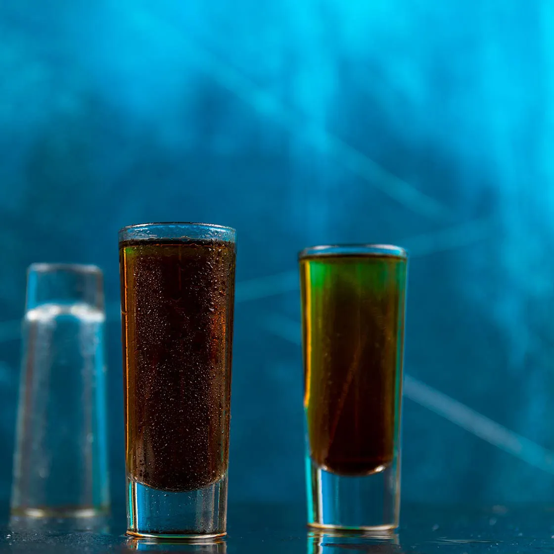 18203 tarantula paloma