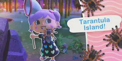 /img/18206-tarantula-island-conclusion.webp