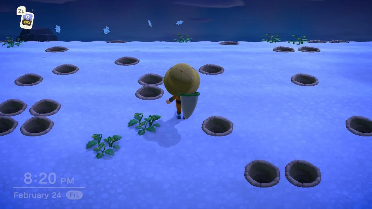 18208 animal crossing tarantula farming 3