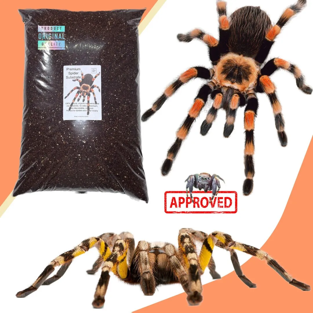 /img/18212-tarantula-breeder.webp
