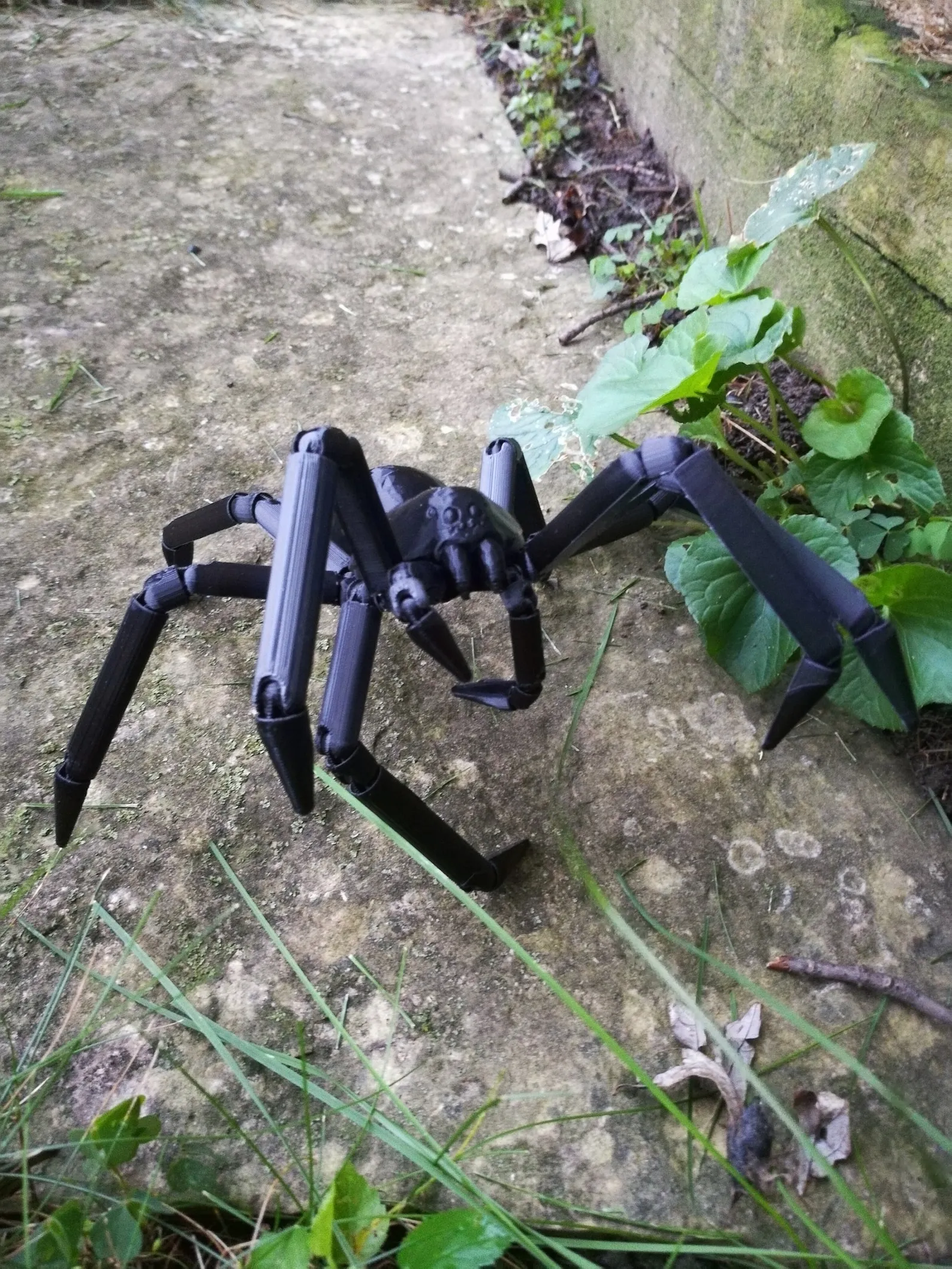 18212 tarantula enclosure