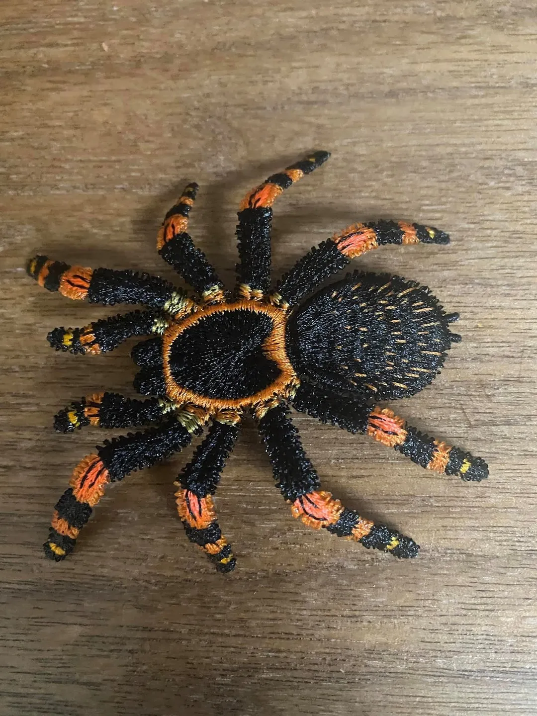 18212 tarantula healthy