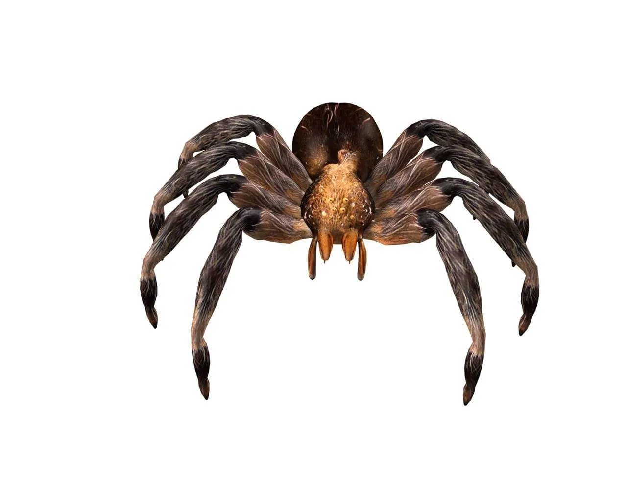 /img/18215-plyta-do-druku-3d-tarantula.webp