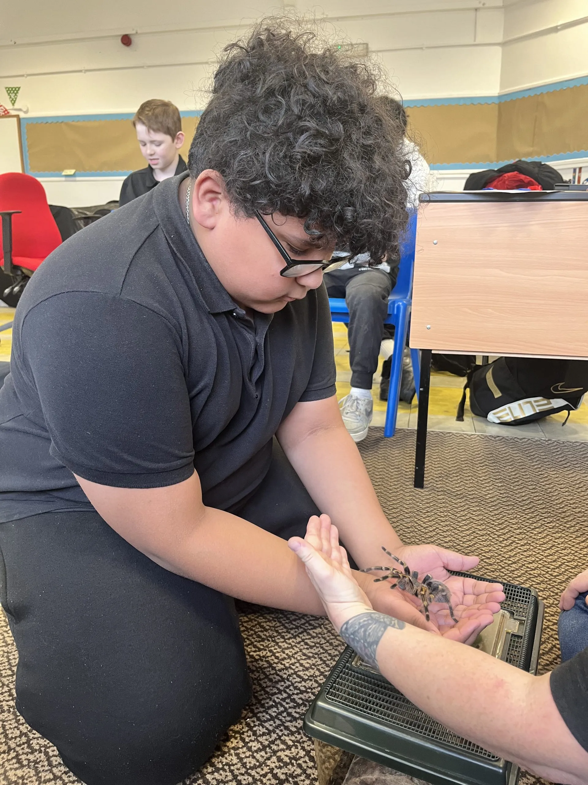 18216 tarantula venom