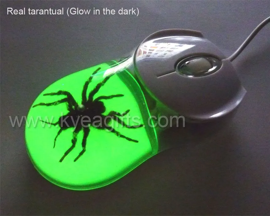 18225 aranha mouse imagem5
