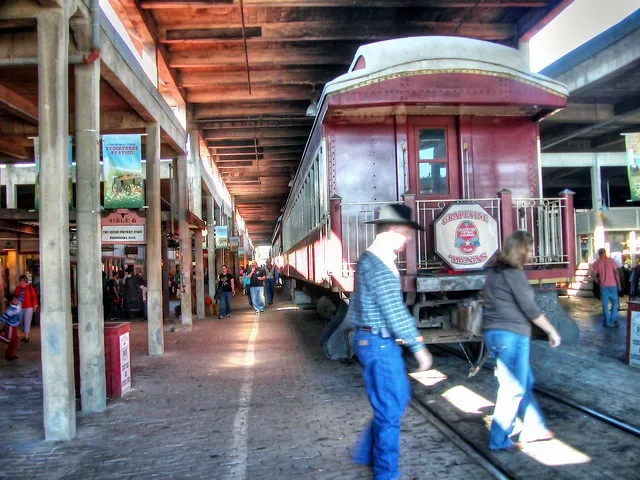 18230 tarantula habitat