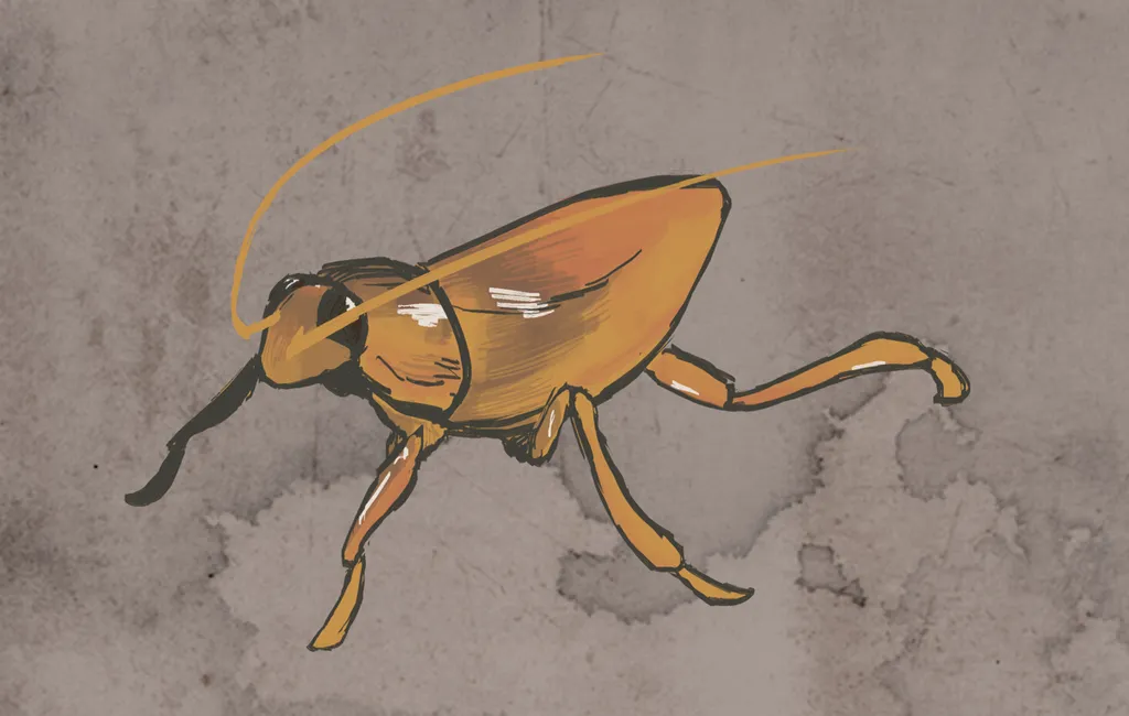 18232 healthy cockroaches