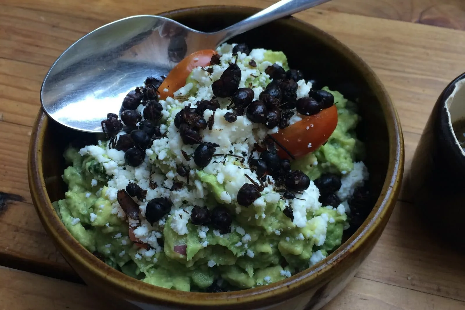 18236 tarantula habitat humidity