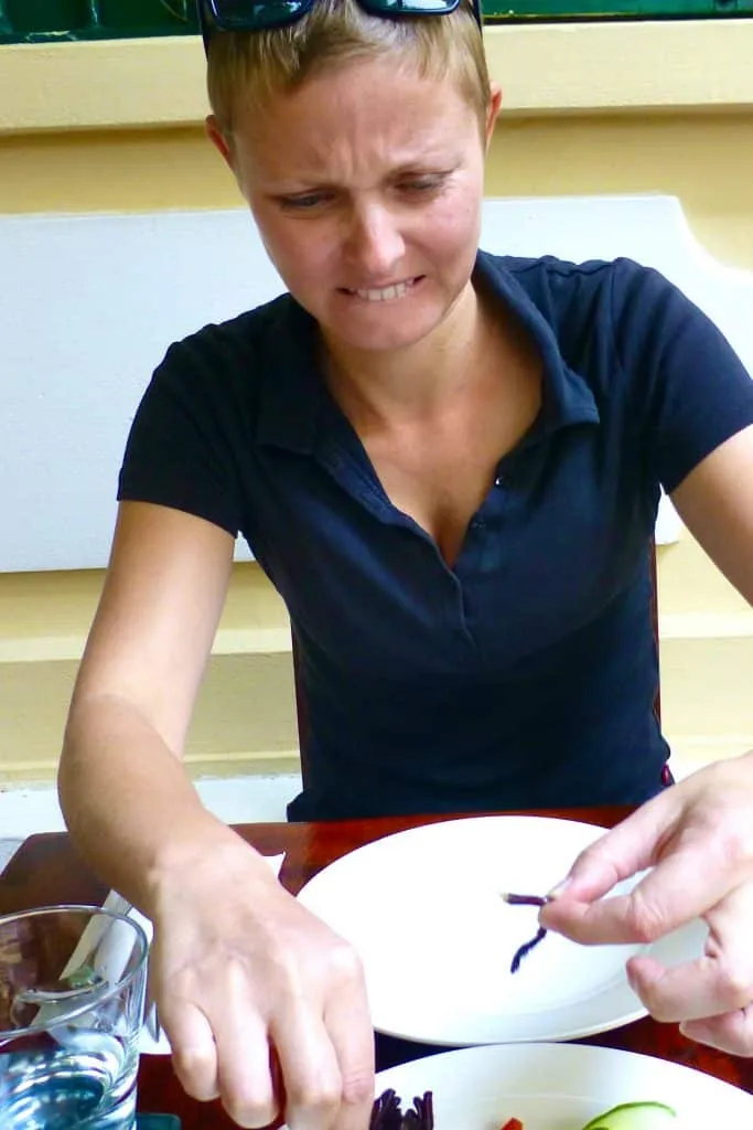 18252 tarantula close up