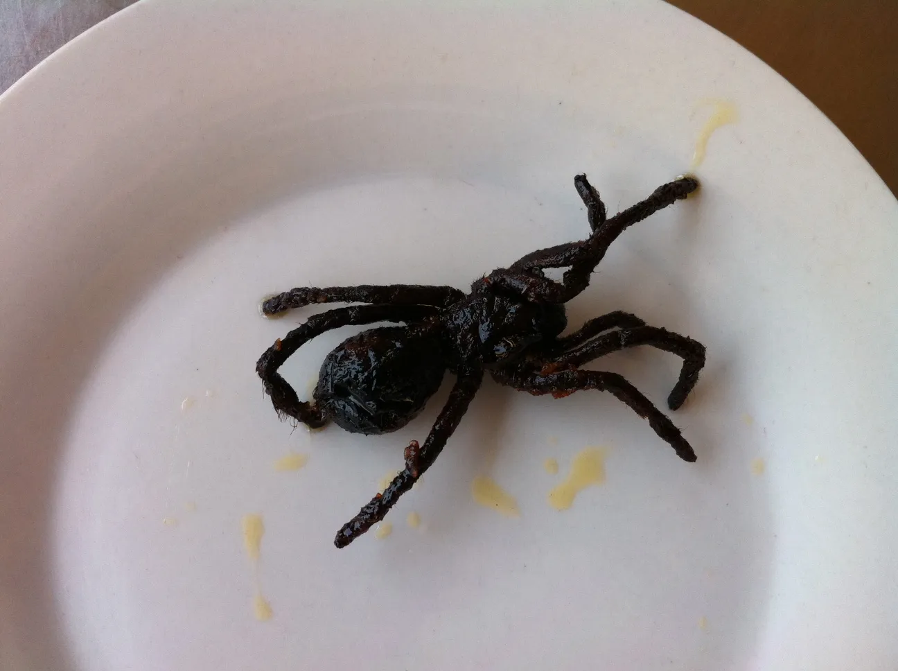 18252 tarantula market