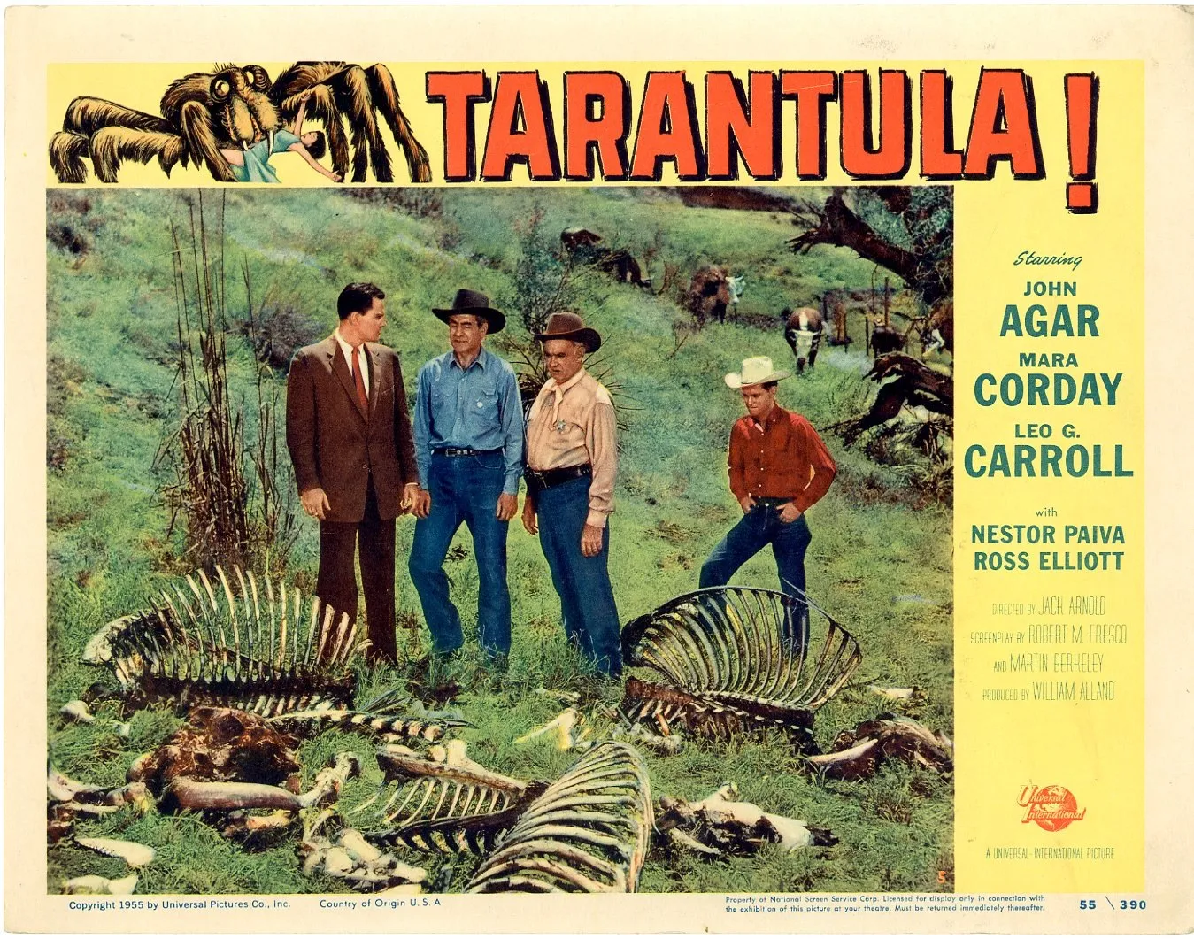 18253 tarantula cast photo