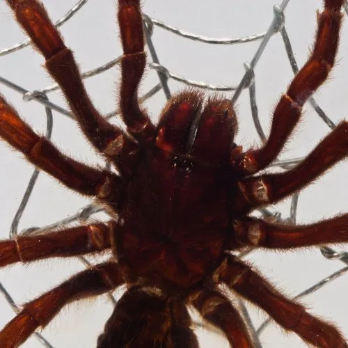 18254 acrylic enclosure ventilation