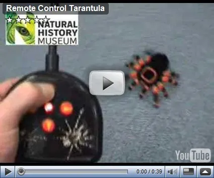 18259 rc tarantula controls
