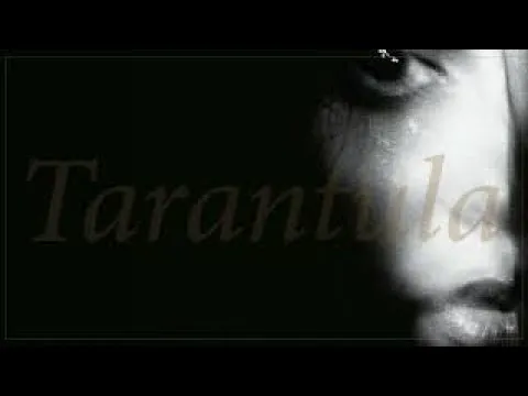 18279 mortal coil band