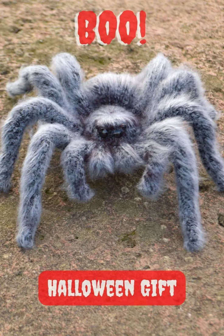 18281 tarantula eating spider image2