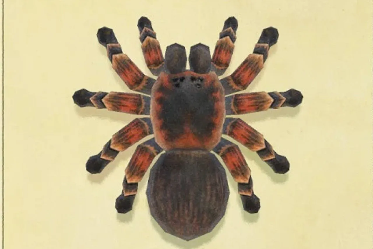 18287 tarantula feeding