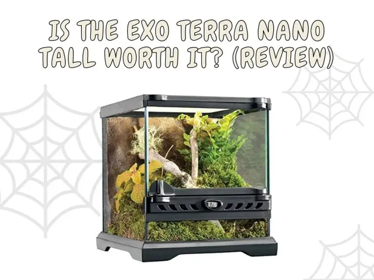18289 exo terra nano tarantula water dish