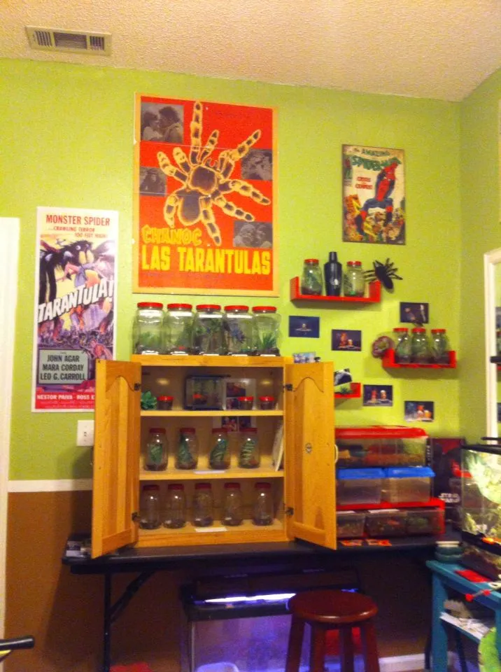 18313 tarantula room uk water dish