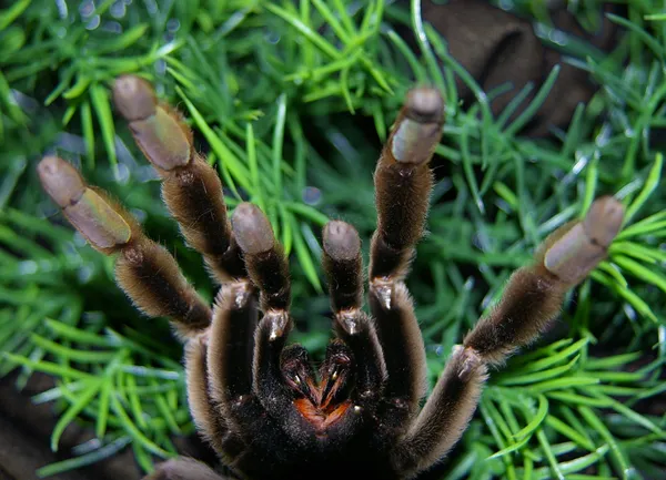 18353 medical attention