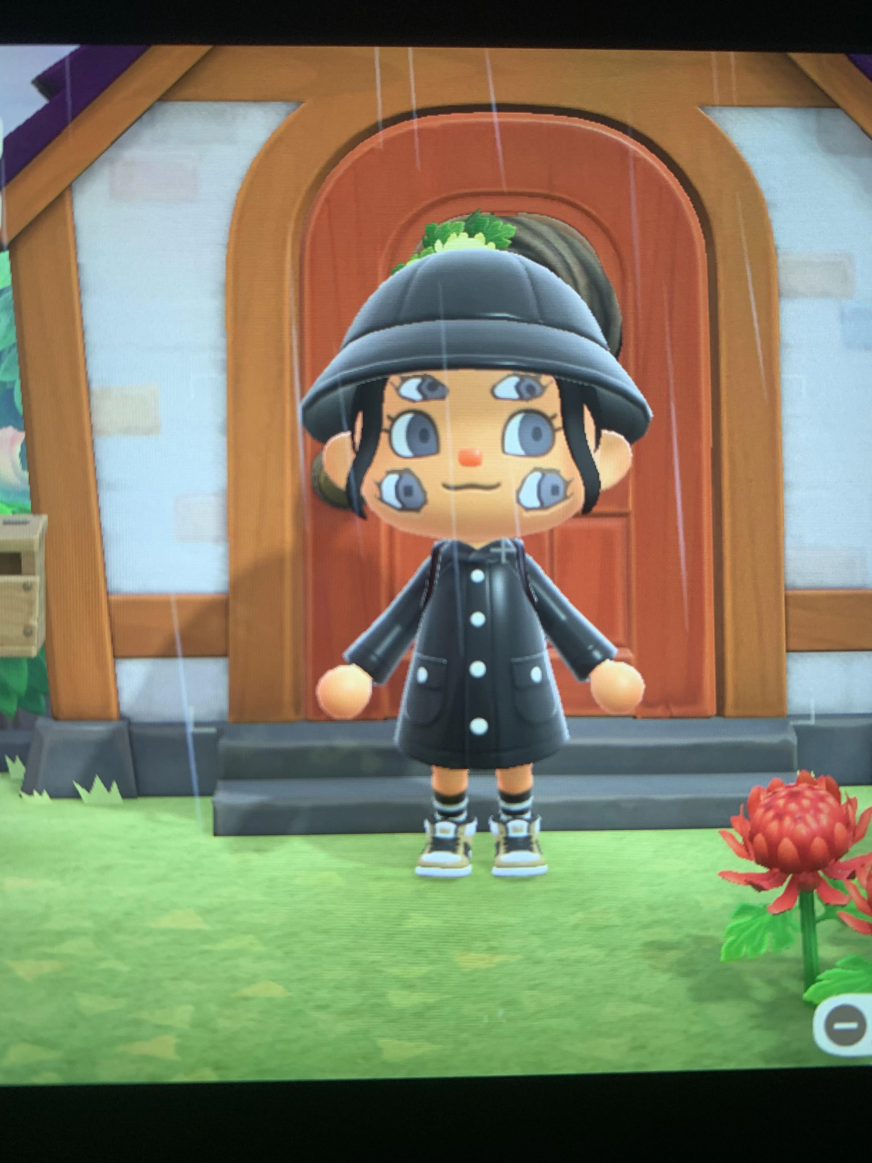 18355 acnl identify tarantula