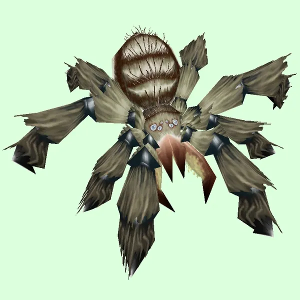 /img/18365-blackfang-tarantula-water.webp