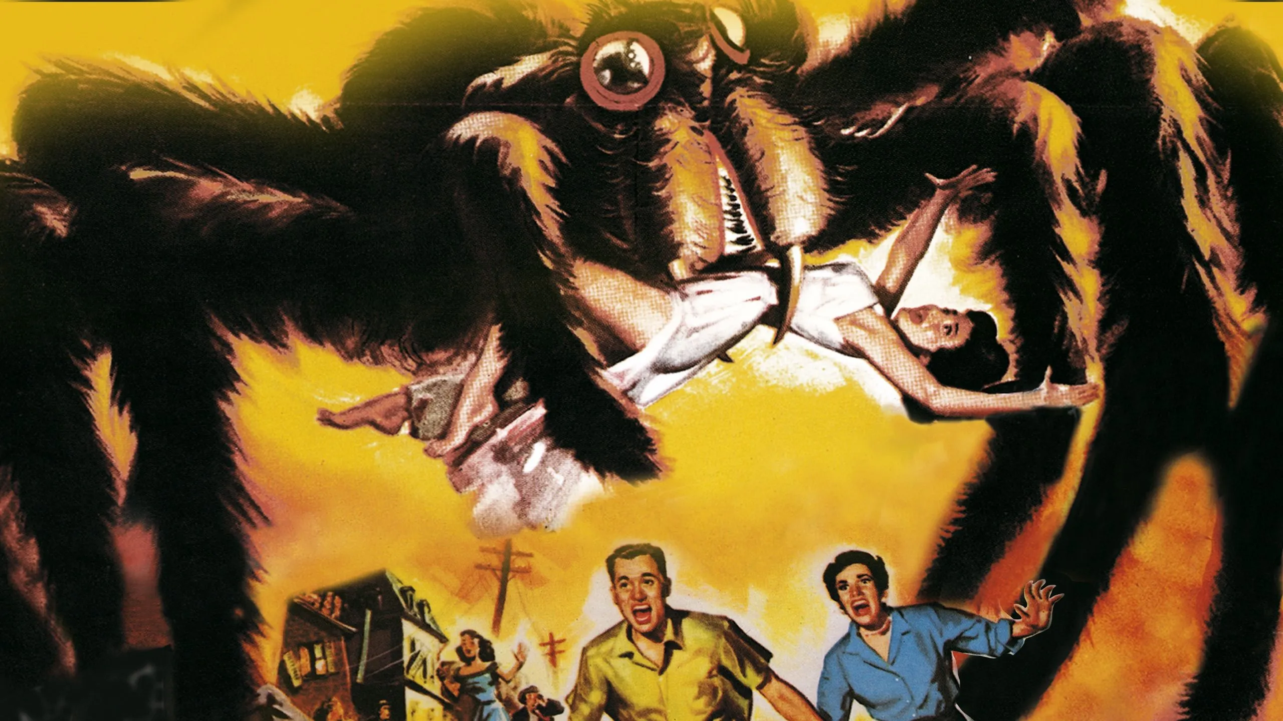 18372 tarantula feeding