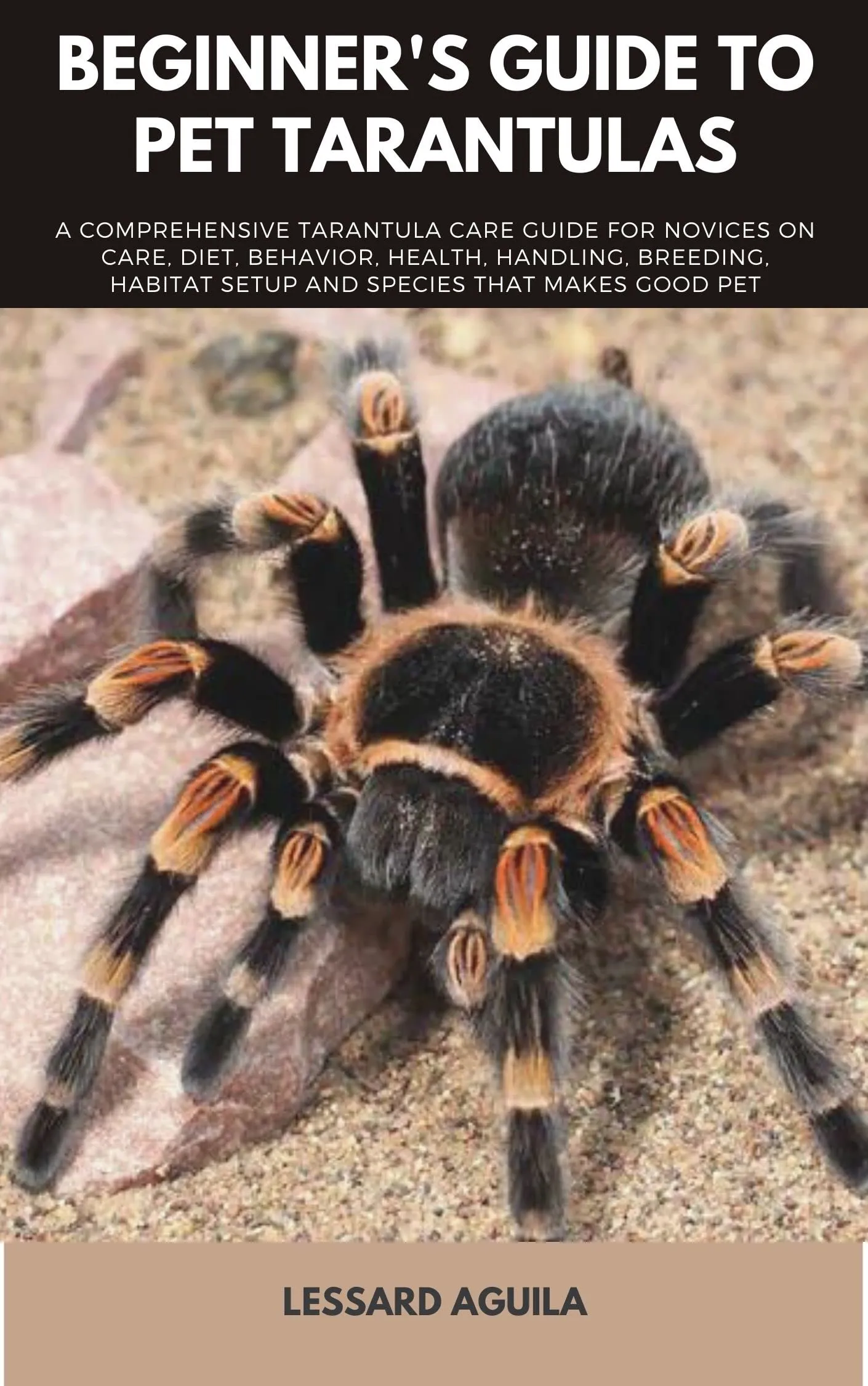 18398 beginner tarantula pet 6