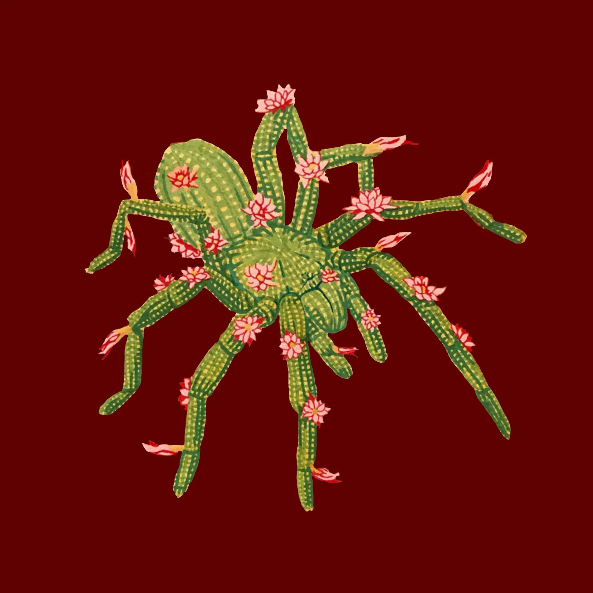 18402 tarantula temperature control